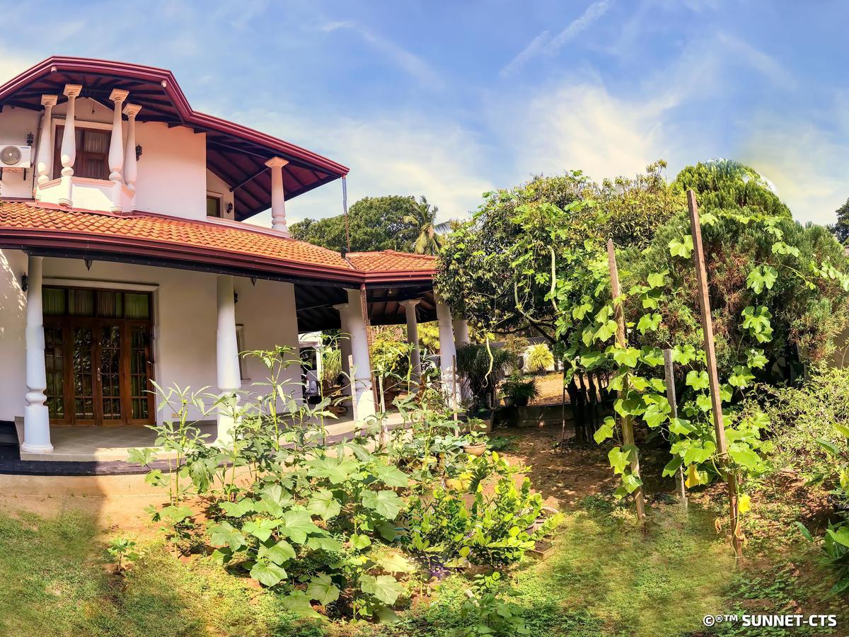 Ceylon Pearlwing Resort Negombo Exterior foto